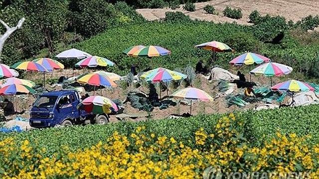 [내주날씨] 10월 들어서며 완연한 가을…일교차 10도 이상 벌어져