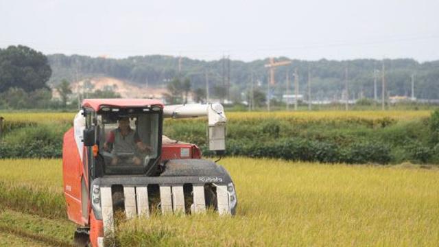가을이라 좋아했건만…여전히 한낮 30도[오늘날씨]