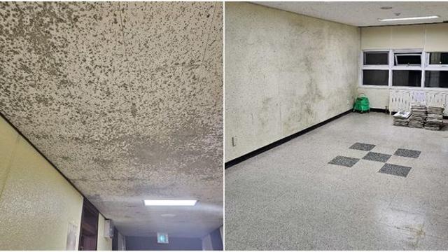 군 장교 “곰팡이 천국으로 변한 육사·정보학교 생활관, 장관님 제발 약속 지켜주세요” (인증)