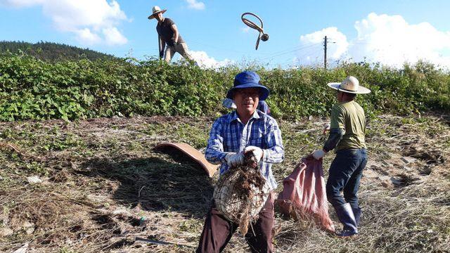 강진군, 병영면 집중 호우 피해 극복 기관사회단체 봉사 잇따라