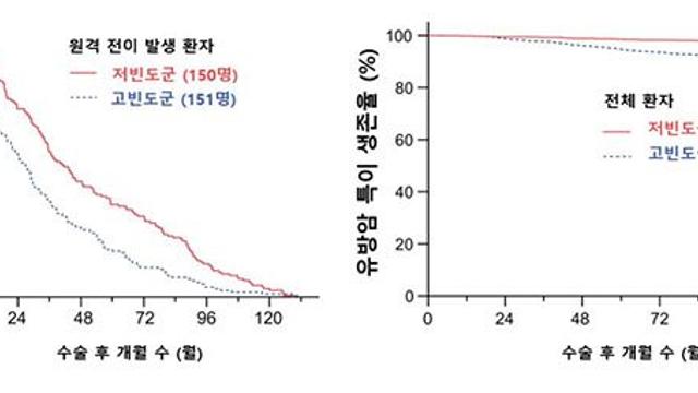 유방암 치료 후 빈번한 전이 검사, 생존율 향상에는 큰 영향 없다