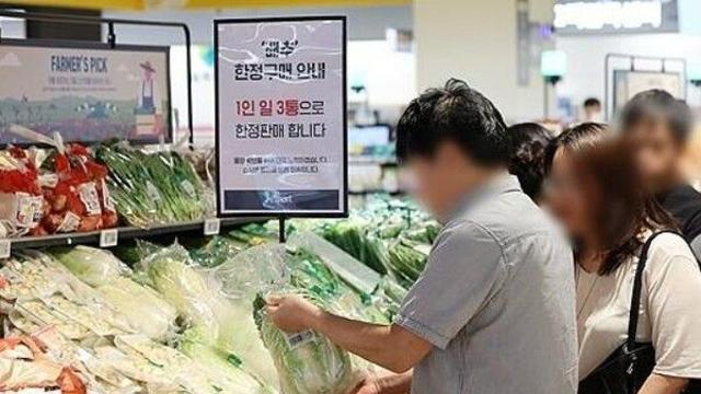 대형마트, 김장 절임배추 예약판매…'배추보다 저렴한 절임 배추'
