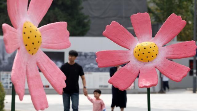 [내일날씨] 낮에도 20도 안팎 서늘…기온 '뚝'