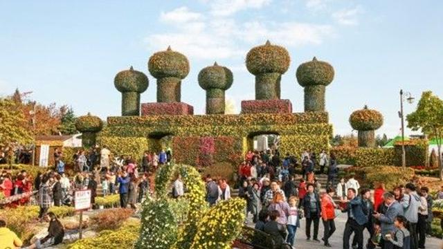 '국화꽃 향기와 정취'…익산서 18∼27일 천만송이 국화축제