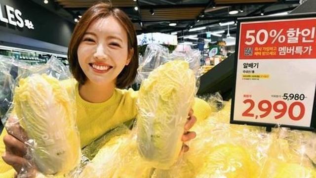 홈플러스, 배추 대체재 '알배기' 반값 기획전
