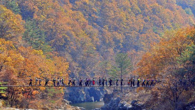 하루 최대 400명만 갈 수 있는 '양구 두타연', 10월엔 2배 입장 가능해진다!