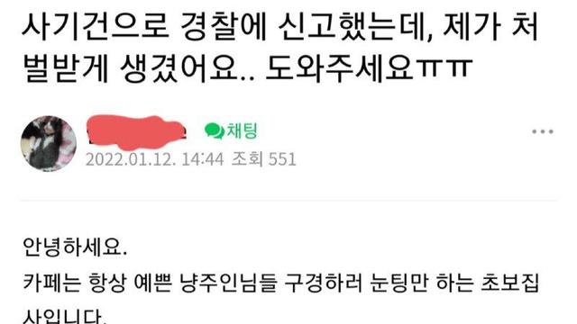 길고양이 돈 받고 팔려다가 역관광 당한 여자
