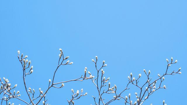 [내일 날씨] 더욱 커진 일교차… 아침 쌀쌀 낮은 '맑음'