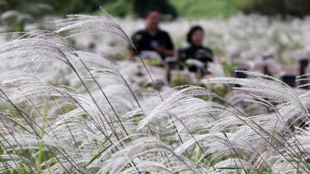 태풍 약해졌지만 강한 바람 영향…아침 기온 10도 이하 [오늘날씨]