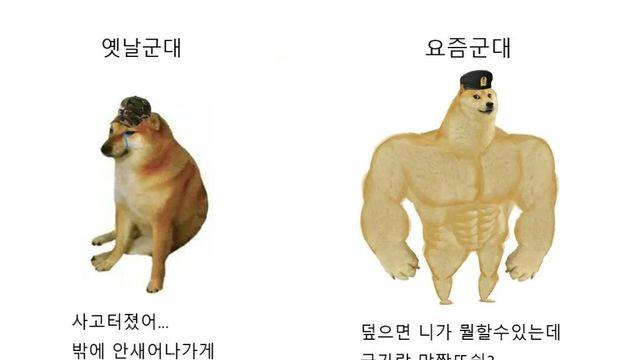 옛날군대와 요즘군대 차이점