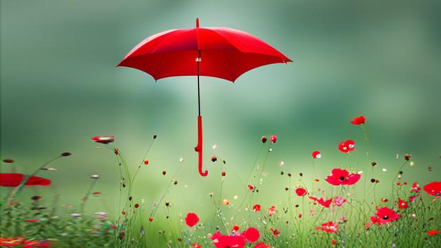 날씨예보, 남부지방·제주 