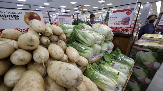 김장철 앞두고 배추·무 가격 고공행진...정부 ‘대응 총력’