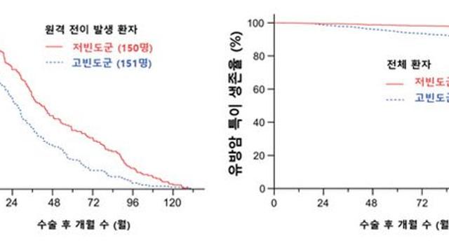 유방암 치료 후 빈번한 전이 검사, 생존율 향상에 큰 영향 없어