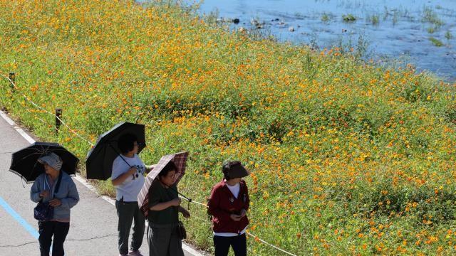 [내일 날씨] 아침 서리, 낮엔 27도…일교차에 겉옷 필수