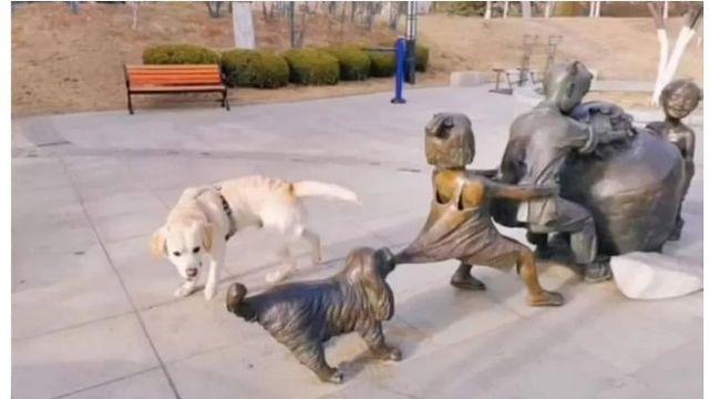 강아지가 심성이 ㅈㄴ 착한 증거