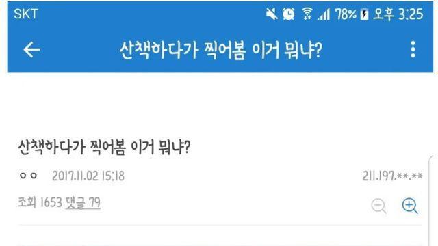 산책하다 이상한 걸 발견한 디씨인