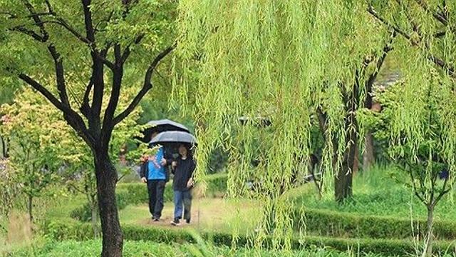 [날씨] 중부 내륙 아침 10도 안팎 '쌀쌀'…남부·제주 비