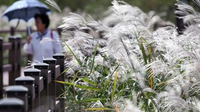 [오늘의 날씨] 쌀쌀한 아침 날씨···일교차는 15도로 커