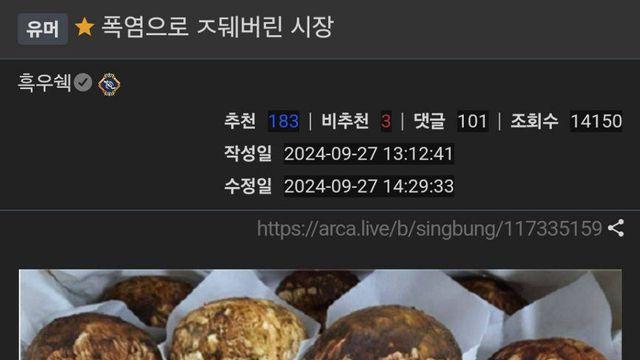 폭염으로 ㅈ되버린 자연산 송이 버섯 시장 