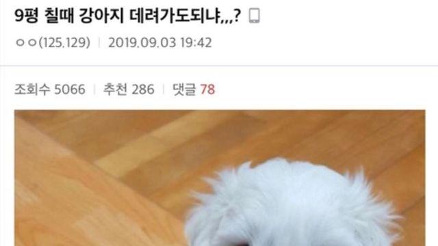 강아지를 너무 사랑하는 학생.jpg