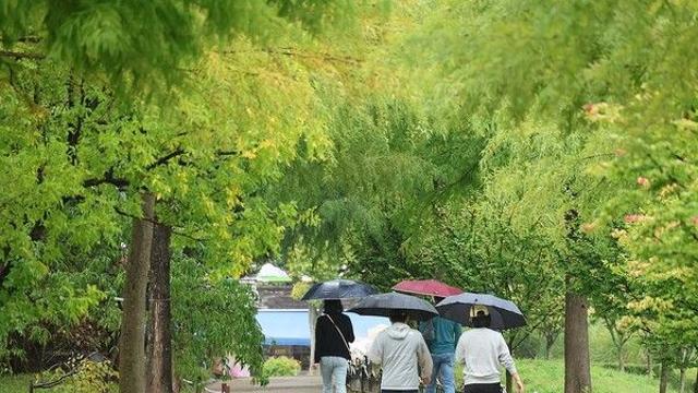 [날씨] 오늘 남부·제주 중심 비…낮 기온 20∼23도