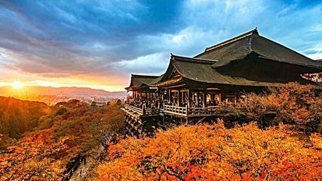 일본 단풍여행 예약 폭주...여행사도 물 들어올 때 노 젓는다 (정보)