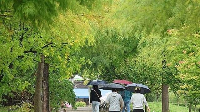 [날씨] 남부·제주 중심 비…낮 기온 20∼23도