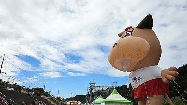 횡성한우축제 32만명 '역대 최대' 흥행…날씨·섬강 귀환 덕분