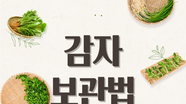 감자 보관법 신선하게 오래 보관하는 방법과 맛있게 삶는 법