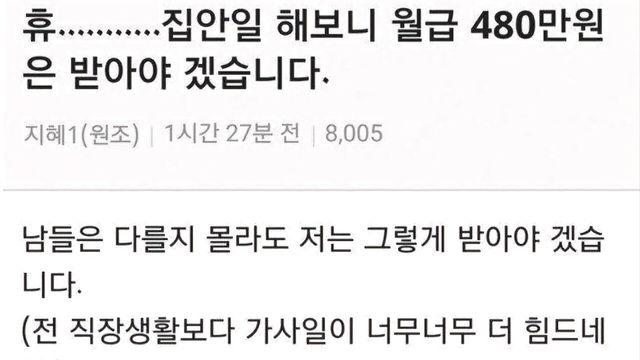 전업주부비 월 480만원.jpg