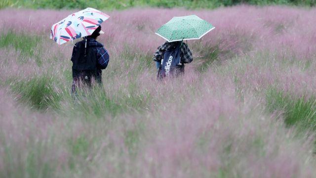 [오늘 날씨] 출근길 '쌀쌀'… 남부·동해안 산발적 빗방울