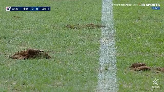 날씨 풀려도 잔디는 ‘숭숭’…올 시즌도 미봉책, 장기적인 대안이 필요