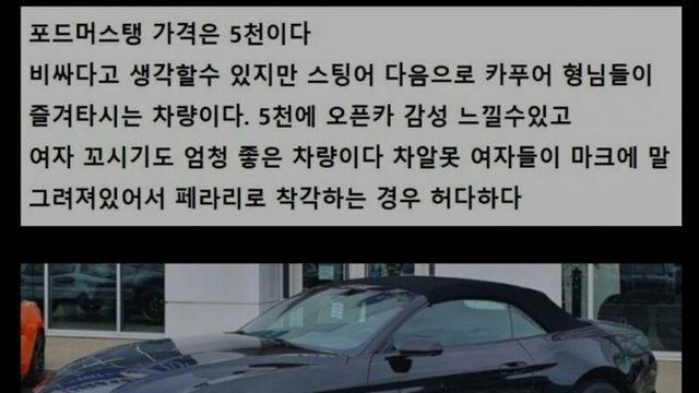 20년차 카푸어가 알려주는 좋은차.jpg