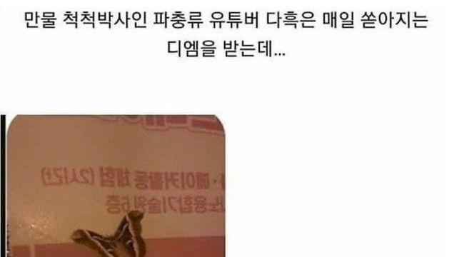 어느 유튜버가 매일같이 받는다는 DM