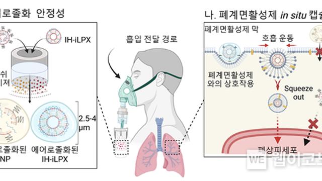 KAIST, 기존보다 26배 효과적인 폐질환 흡입치료 가능