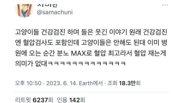 고양이는 혈압검사 안하는 이유