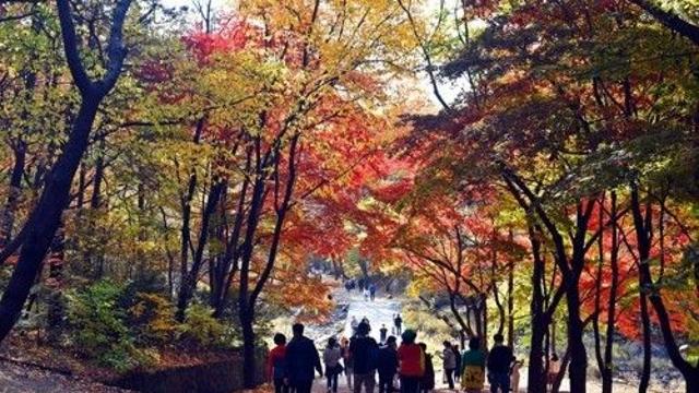 안양 서울대관악수목원 이달 19일~내달 17일 개방
