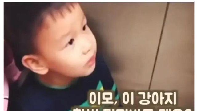 [퍼옴] 이모, 이 강아지 한번 만져 봐도 돼요?