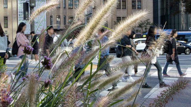 [오늘 날씨] 완연한 가을… 일교차 큰 '한글날'