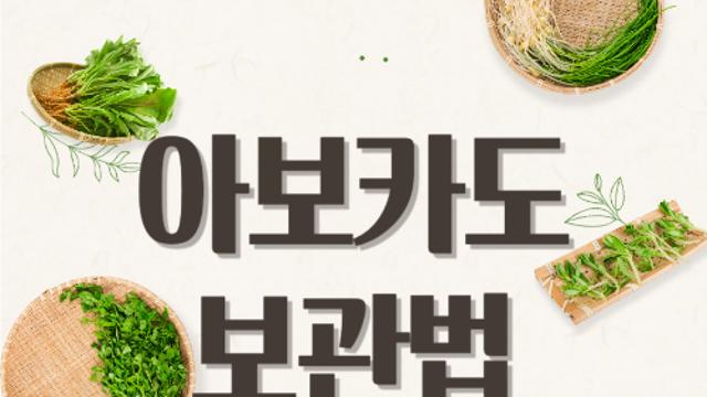 아보카도 보관법 여러가지 총정리