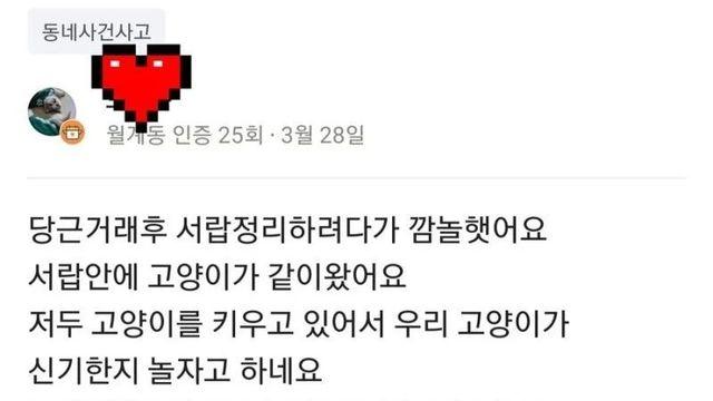 당근으로 서랍샀더니 고양이가옴.jpg
