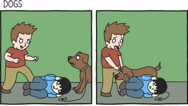 개와고양이.jpg,,