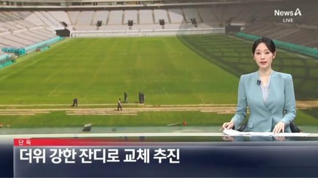 서울월드컵경기장, 더위 강한 잔디로 교체 추진 