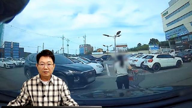 자동차와 '쇼핑카트'의 충돌…운전자 
