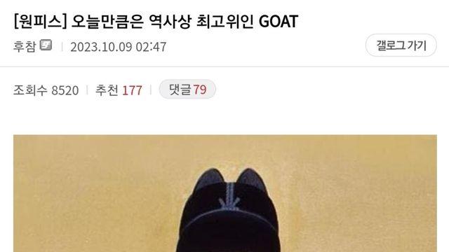 한글날, 원피스 갤러리 근황 ㄷ..JPG