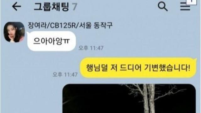 단톡방에 등장한 예쁜 여왕벌