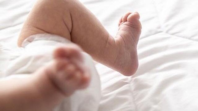 아파트 24층서 조카 던지고 “안락사시켰다” 고모…징역 15년