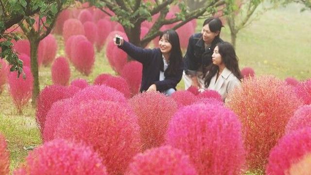 [날씨]오늘 전국 맑고 일교차 커…수도권 미세먼지 '나쁨'