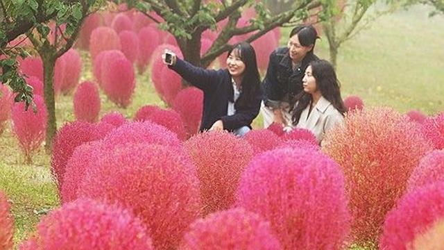 [날씨] 전국 맑고 일교차 커…수도권 미세먼지 '나쁨'