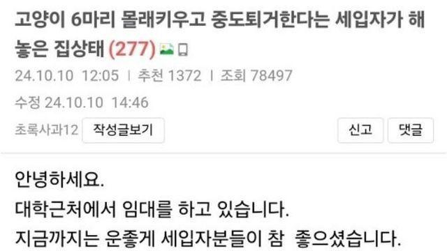 월세방 고양이 6마리 무단으로 키운 여자 집상태.jpg